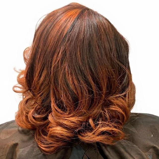 💎Elite Silk Society